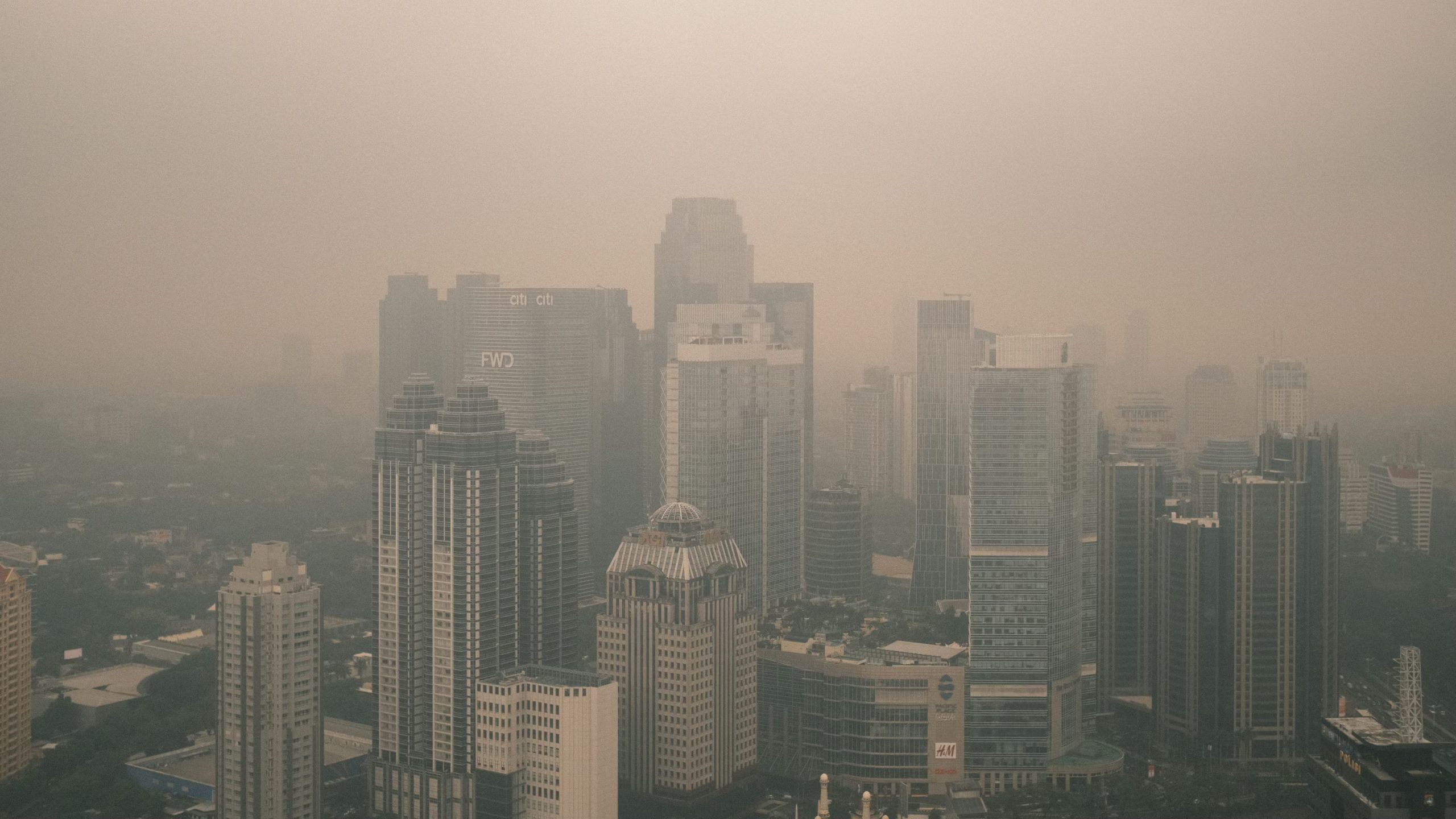 Climate Became an Economic Issue